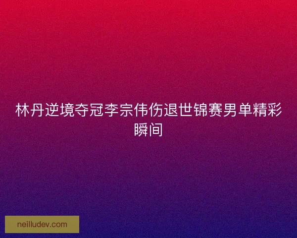林丹逆境夺冠李宗伟伤退世锦赛男单精彩瞬间